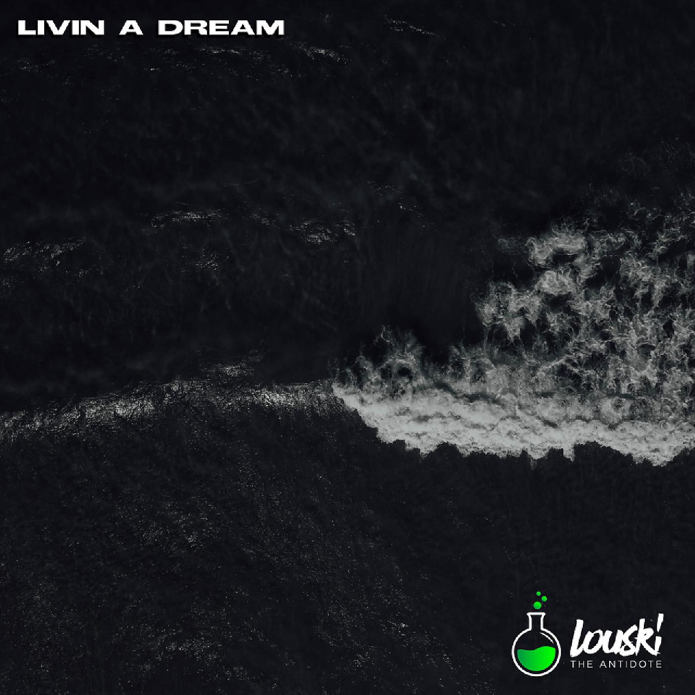 Постер альбома Livin a Dream