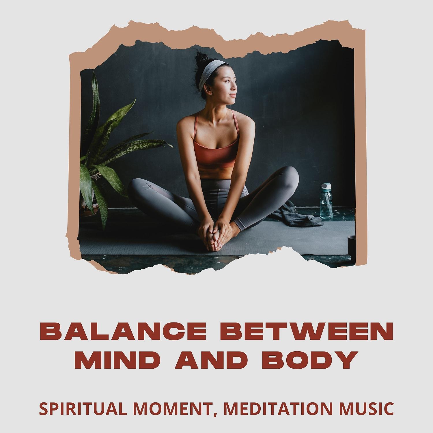 Постер альбома Balance Between Mind and Body
