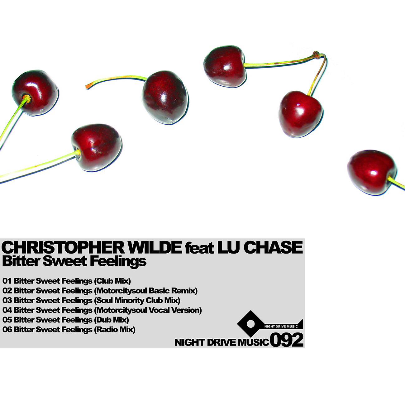 Christopher Wilde - Bitter Sweet Feelings (Motorcitysoul Vocal Version)