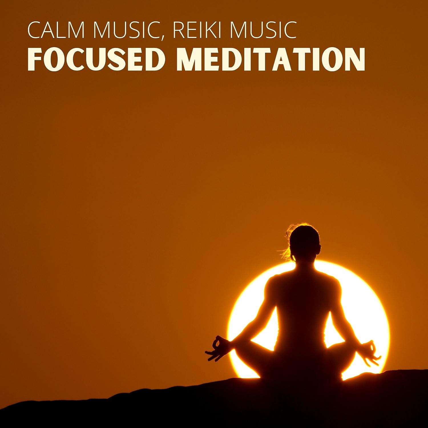 Постер альбома Focused Meditation