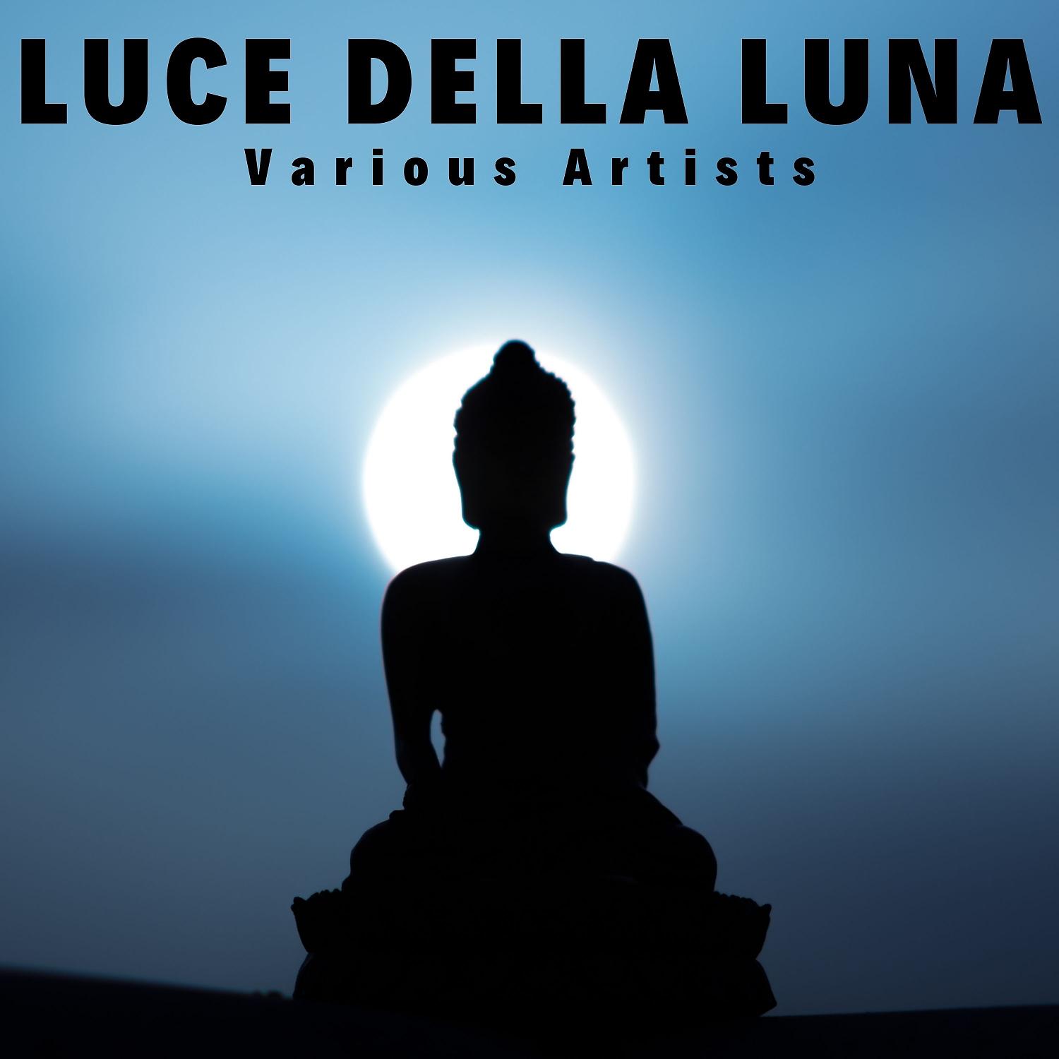 Постер альбома Luce della luna