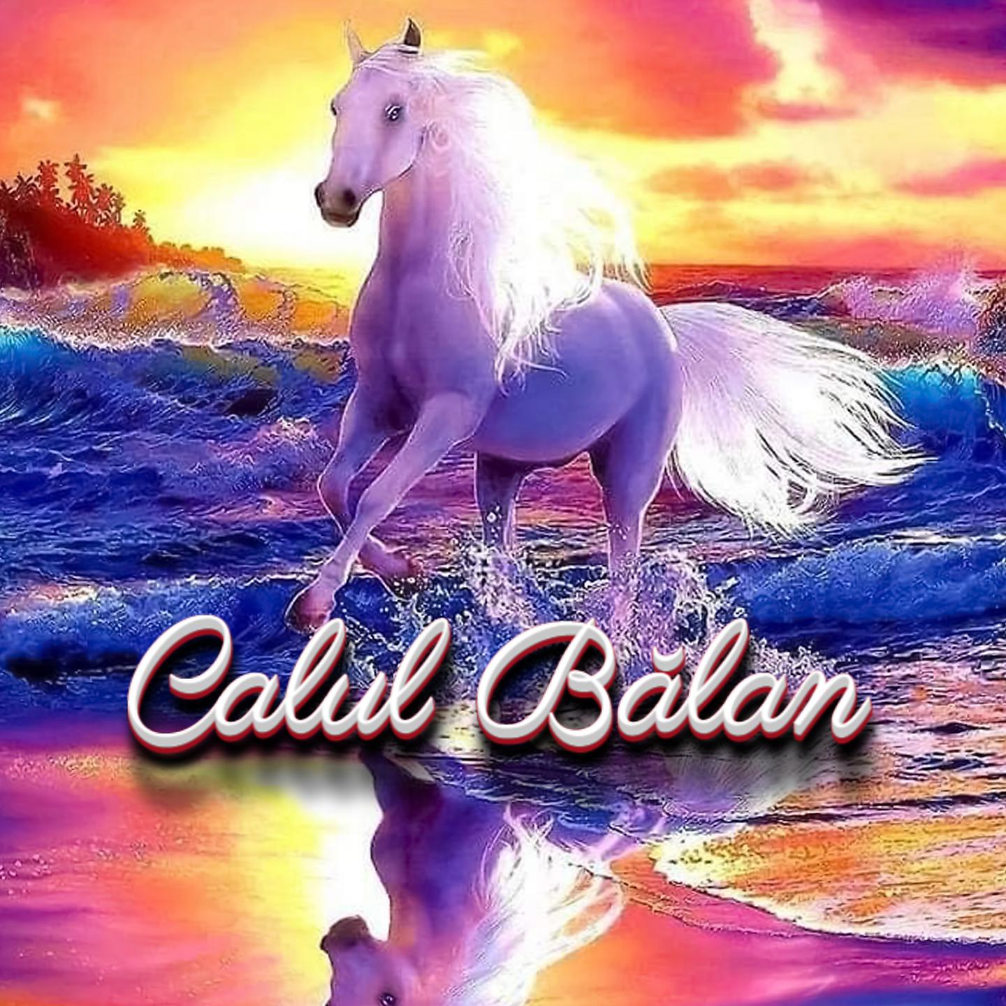 Постер альбома Calul Bălan