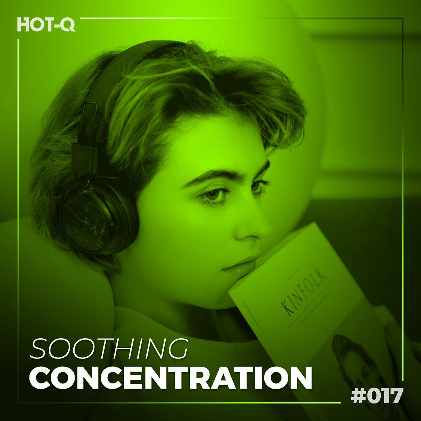 Постер альбома Soothing Concentration 017