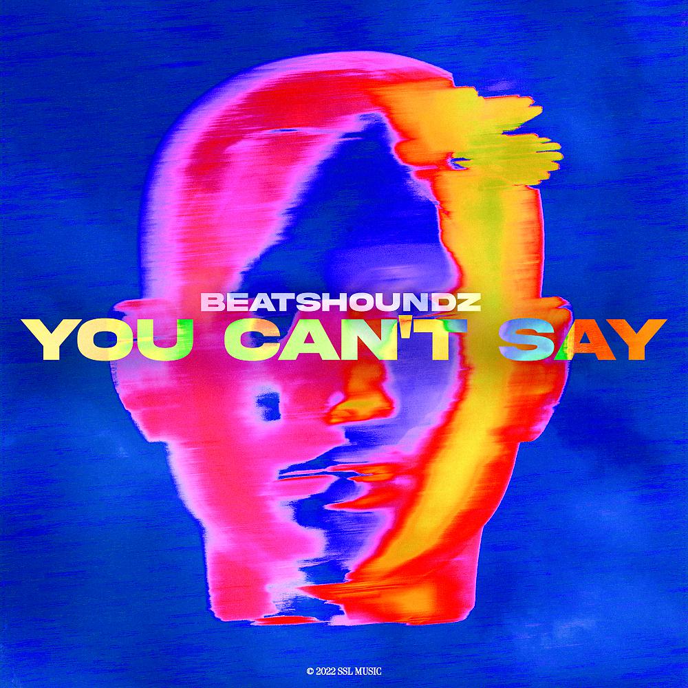 Постер альбома You Can't Say