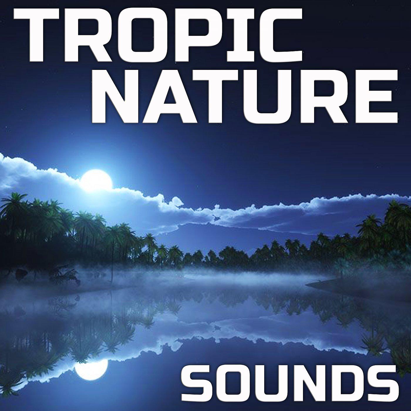 Постер альбома Tropic Nature Sounds