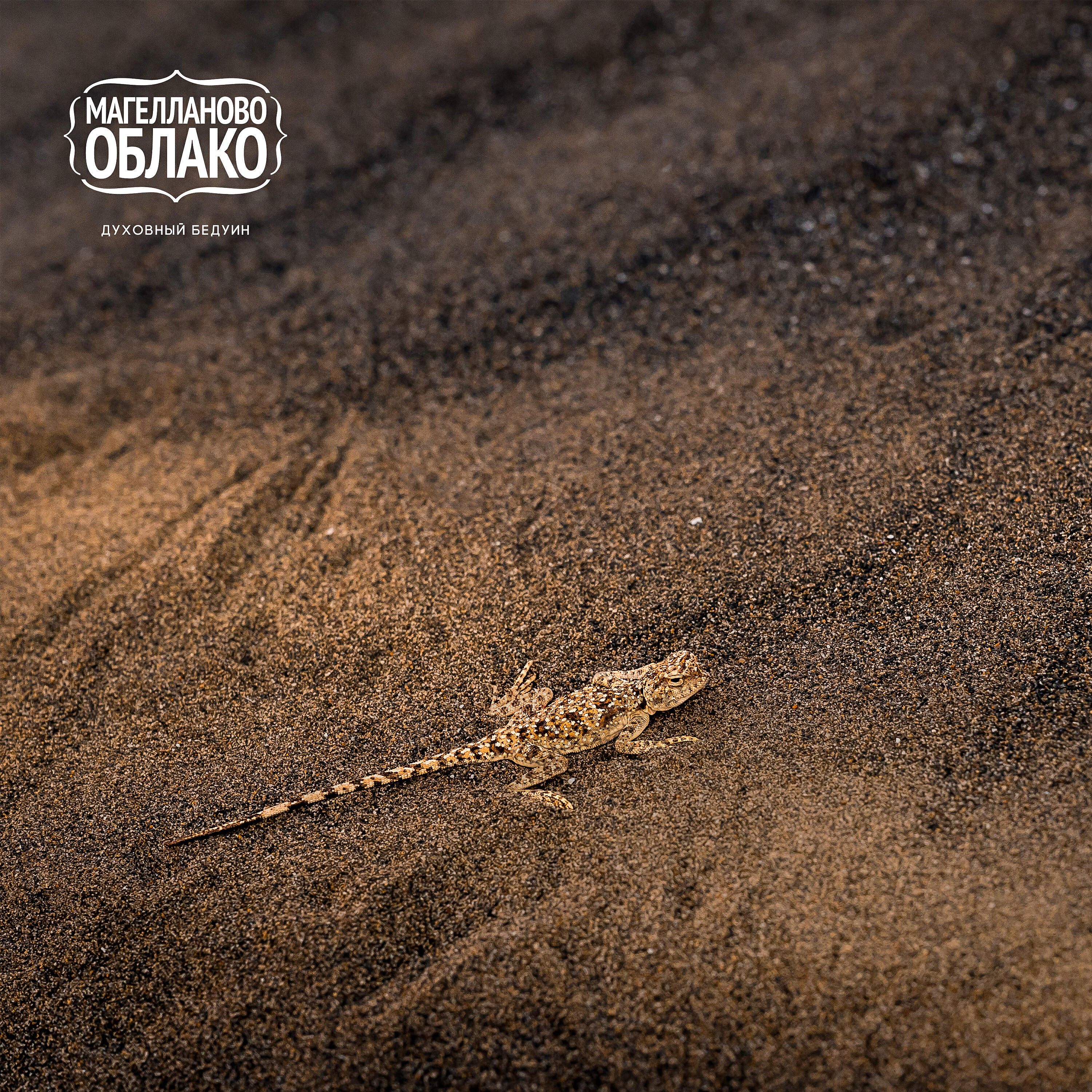 Магелланово Облако - Я Жду Тебя Снизу