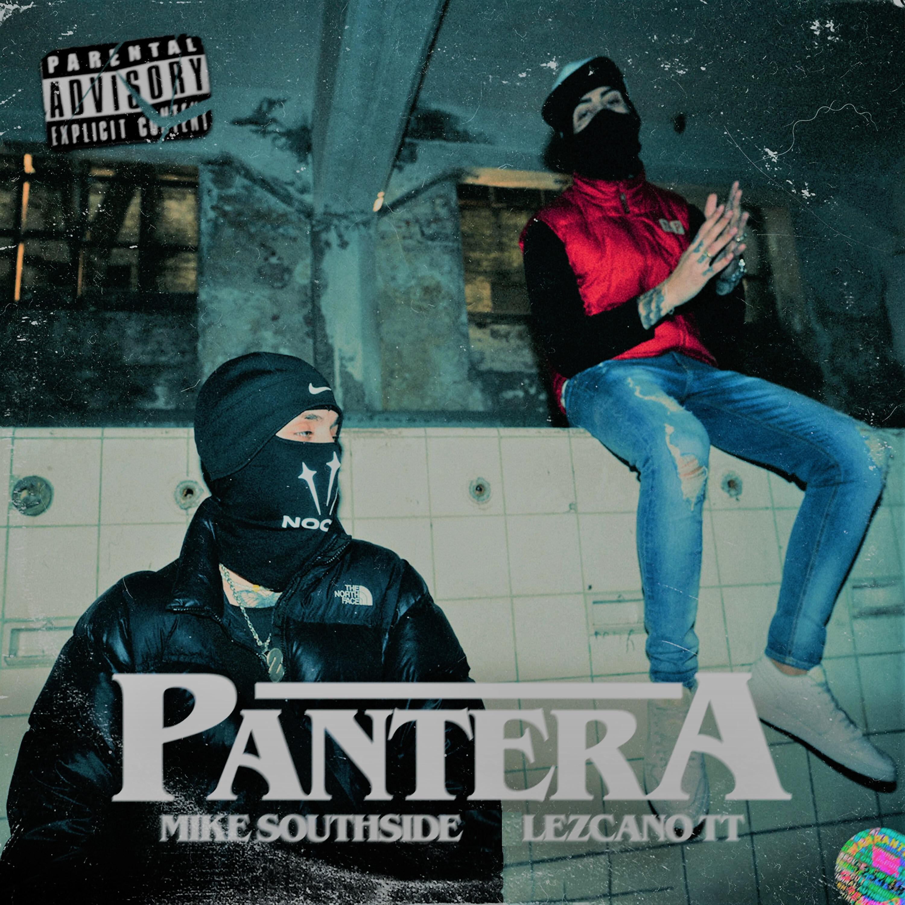 Постер альбома Pantera