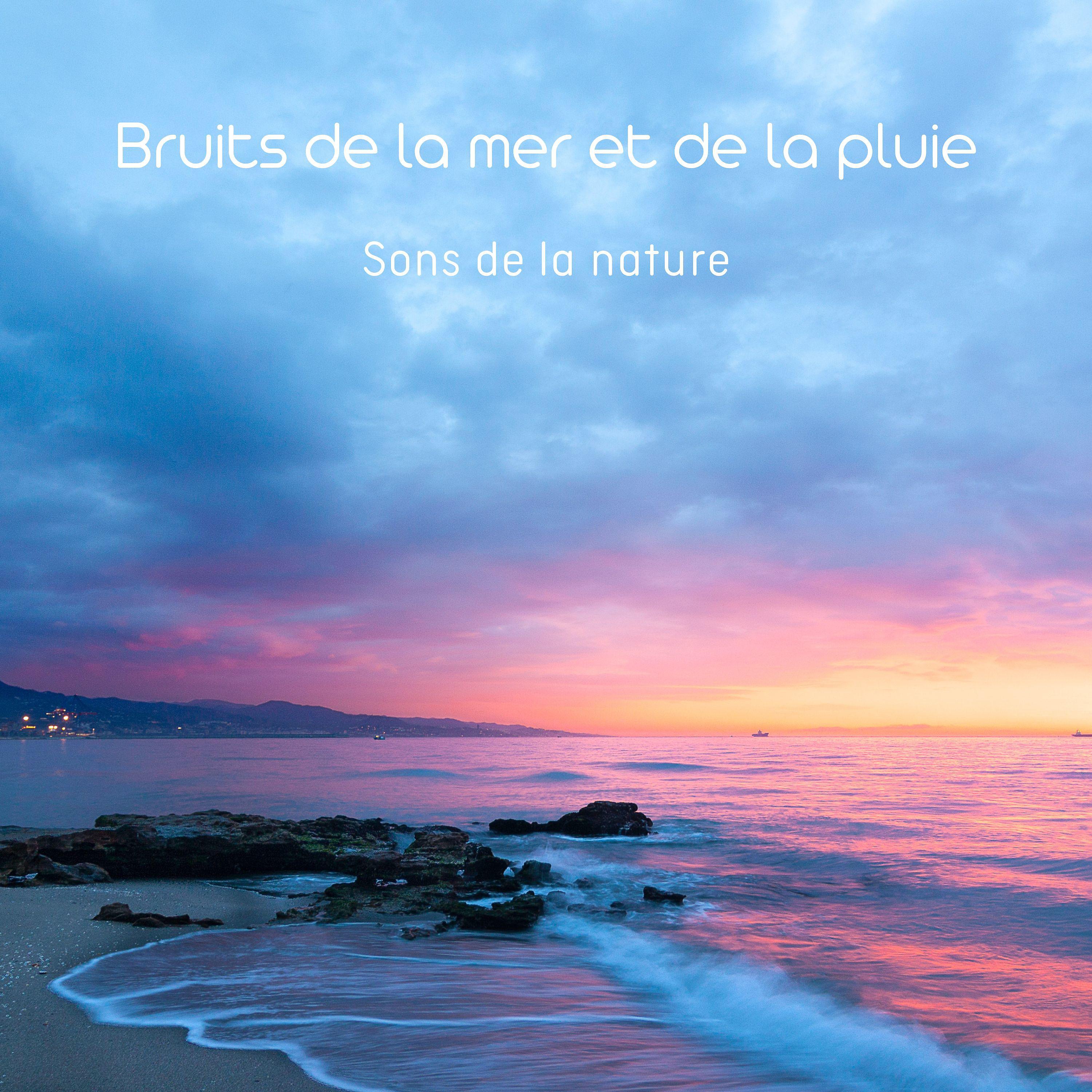 Постер альбома Bruits de la mer et de la pluie