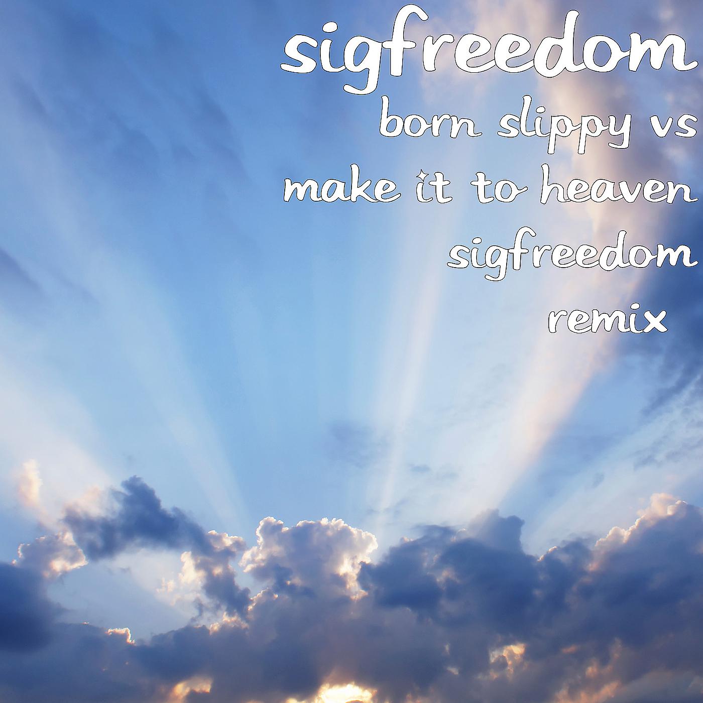 Постер альбома Born Slippy vs Make It to Heaven (Sigfreedom Remix)