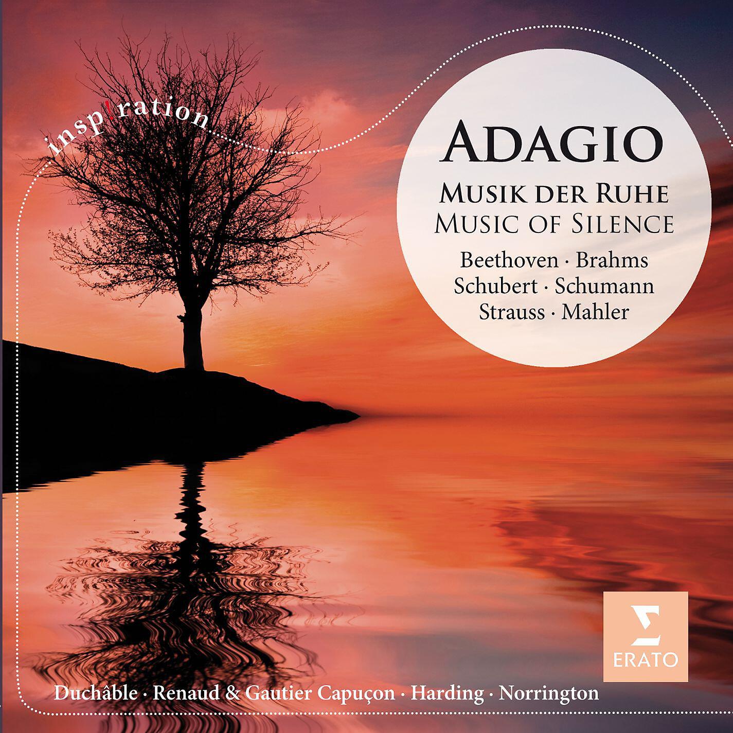 Stephen Hough - Piano Concerto No. 2 in B-Flat Major, Op. 83: III. Andante (Excerpt)