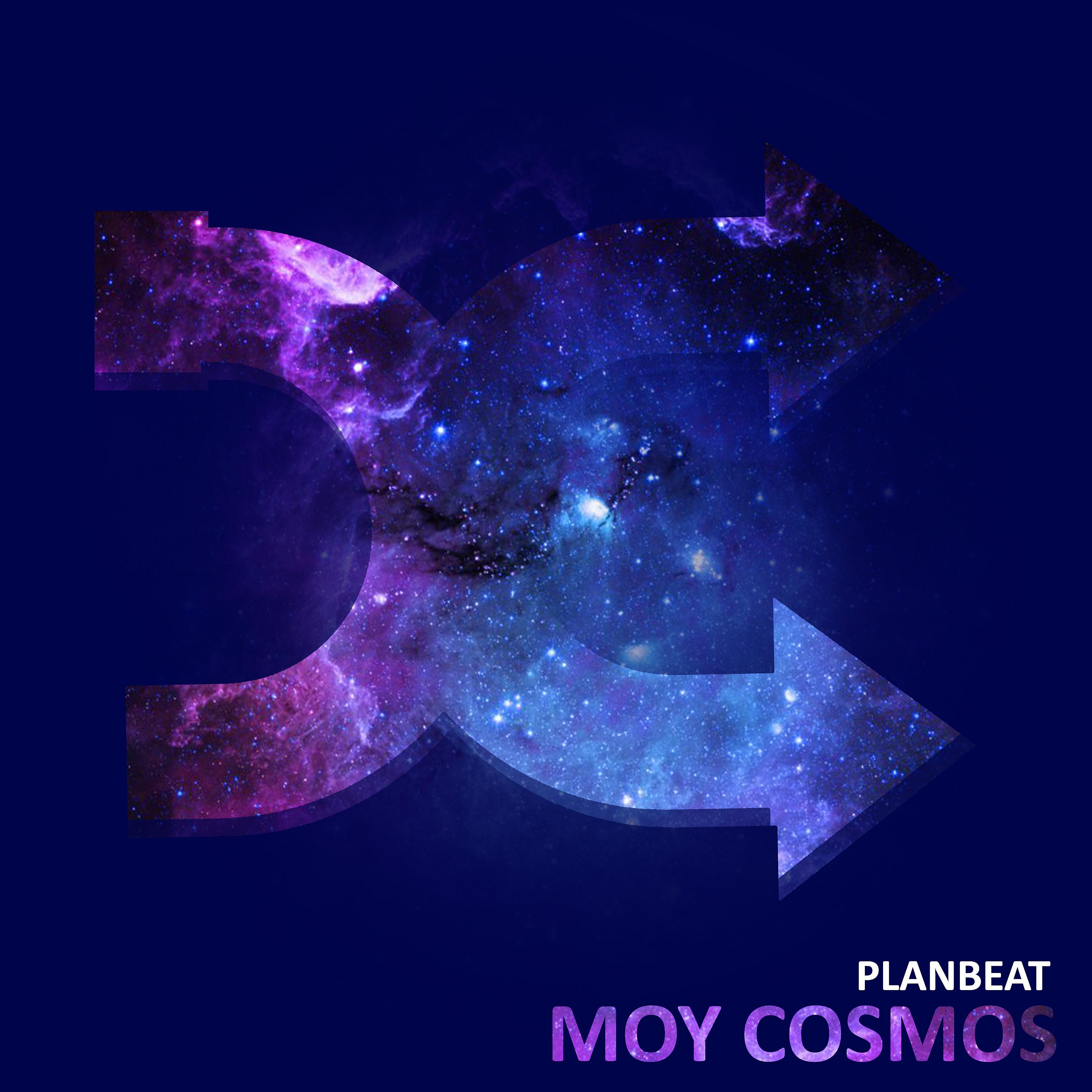 Постер альбома Moy cosmos