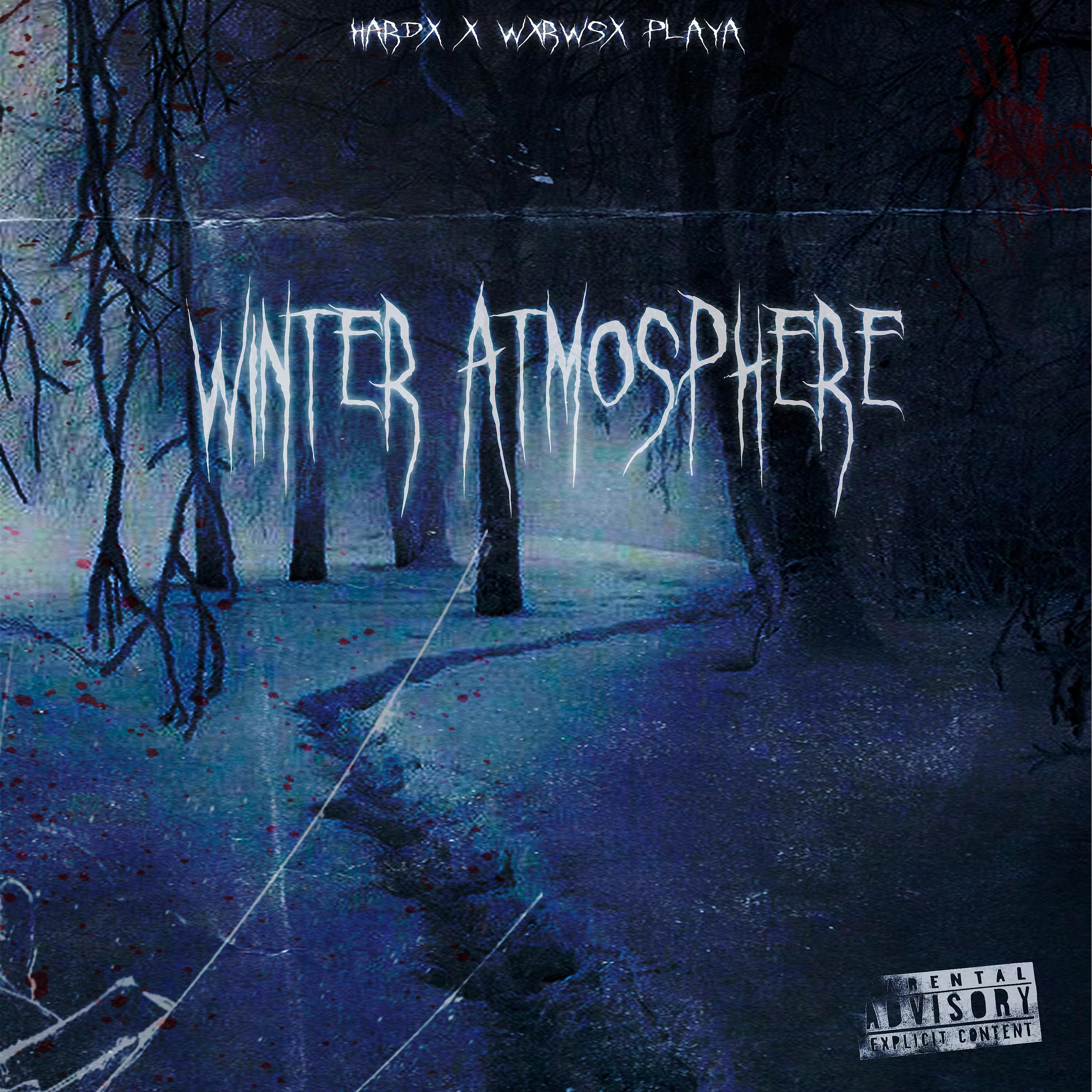 Постер альбома Winter Atmosphere
