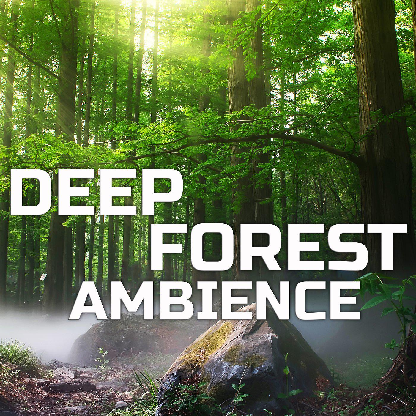 Постер альбома Deep Forest Ambience