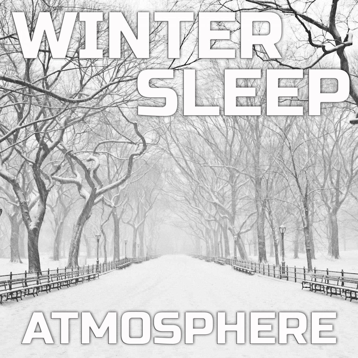Постер альбома Winter Sleep Atmosphere