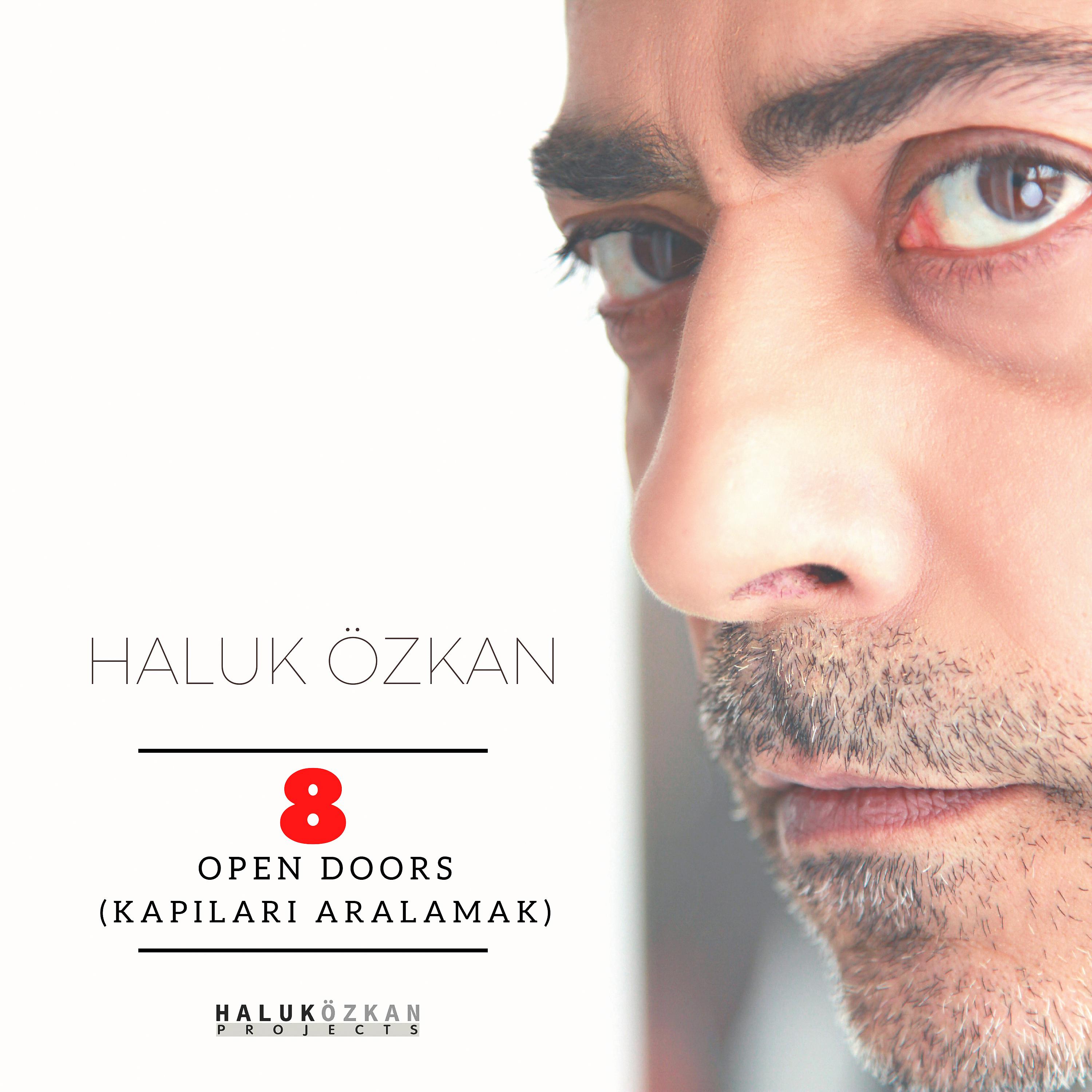 Постер альбома Haluk Özkan, Vol. 8