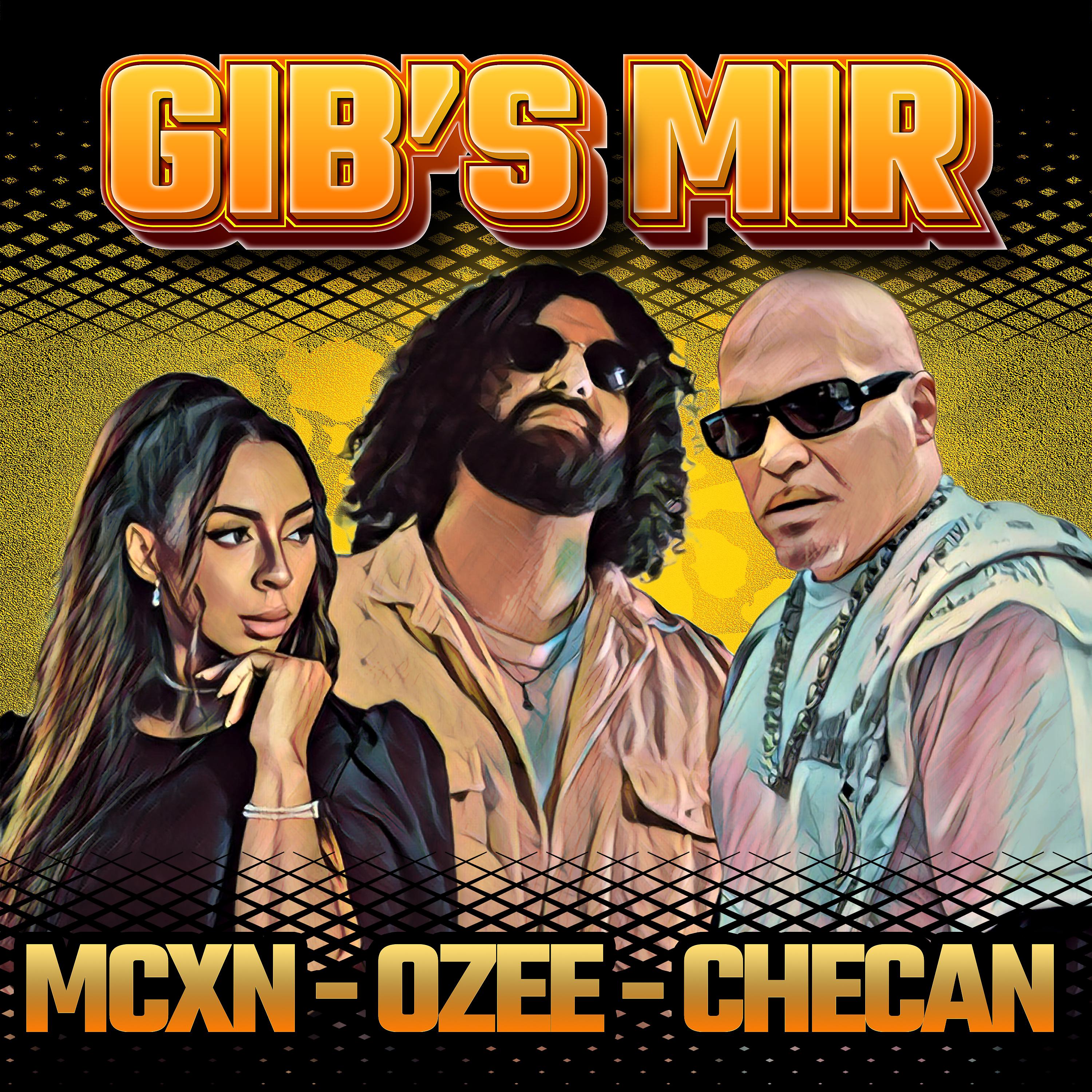Постер альбома Gib's Mir