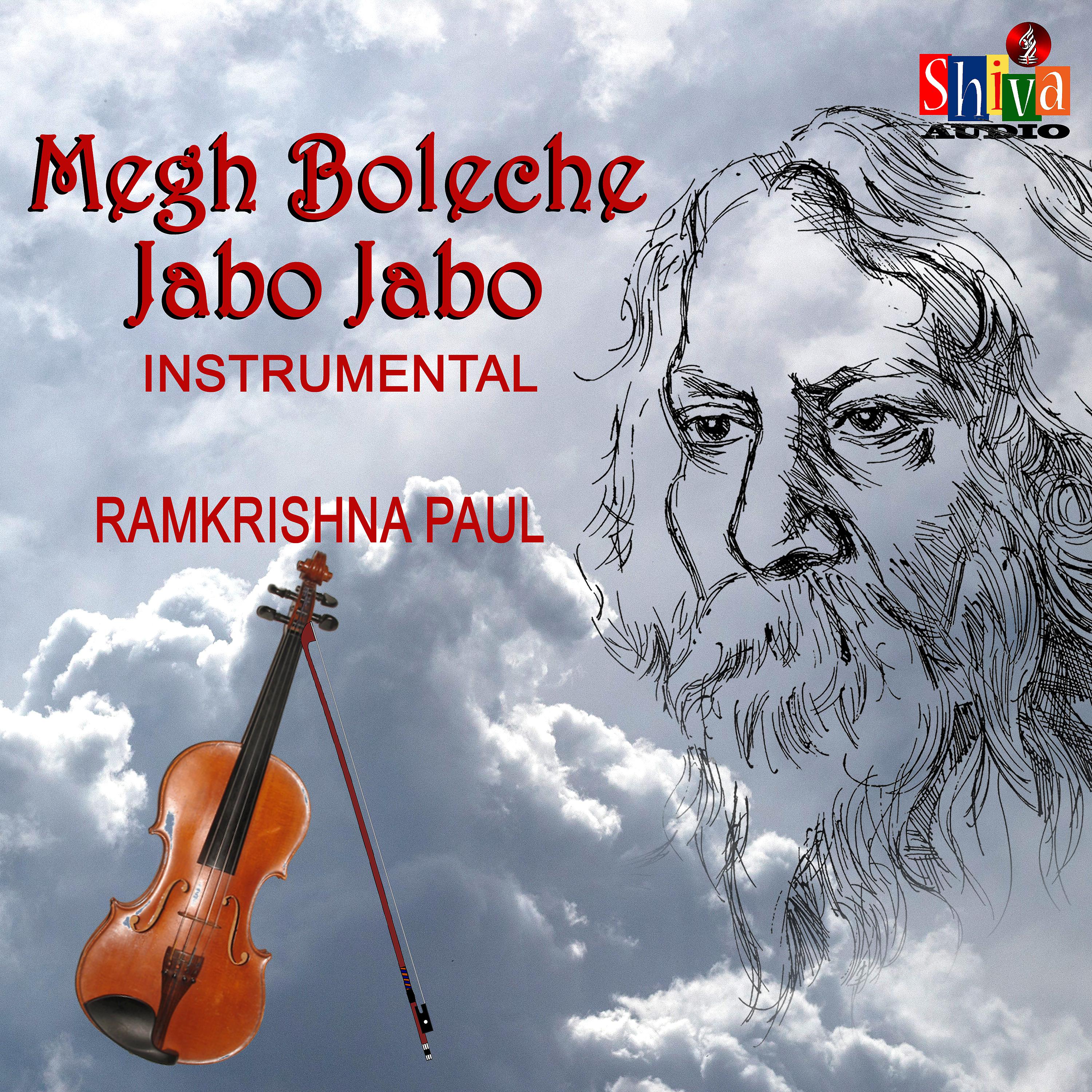 Постер альбома Megh Boleche Jabo Jabo