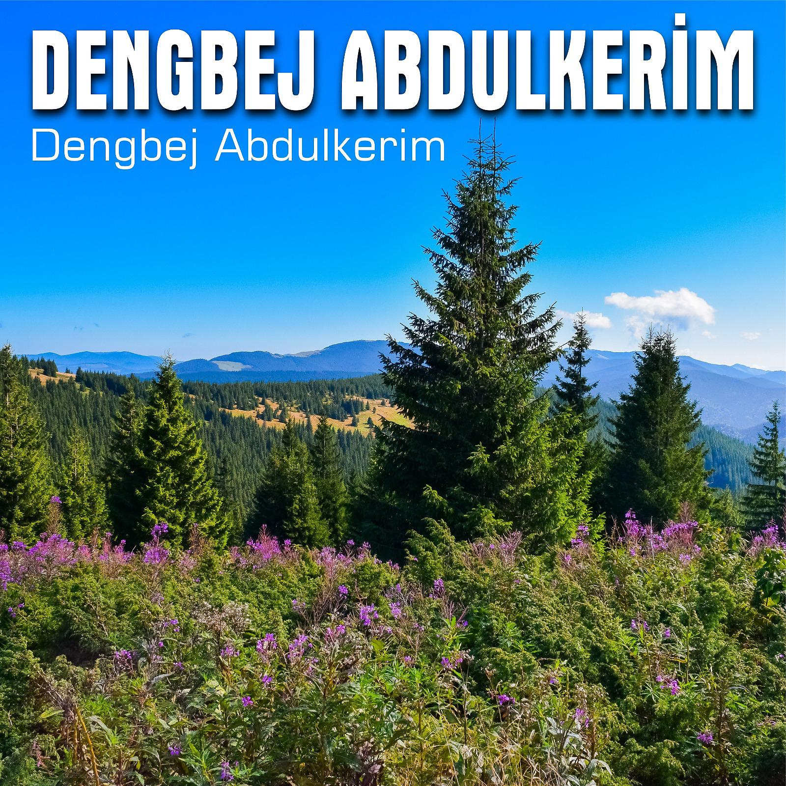 Постер альбома Dengbej Abdulkerim