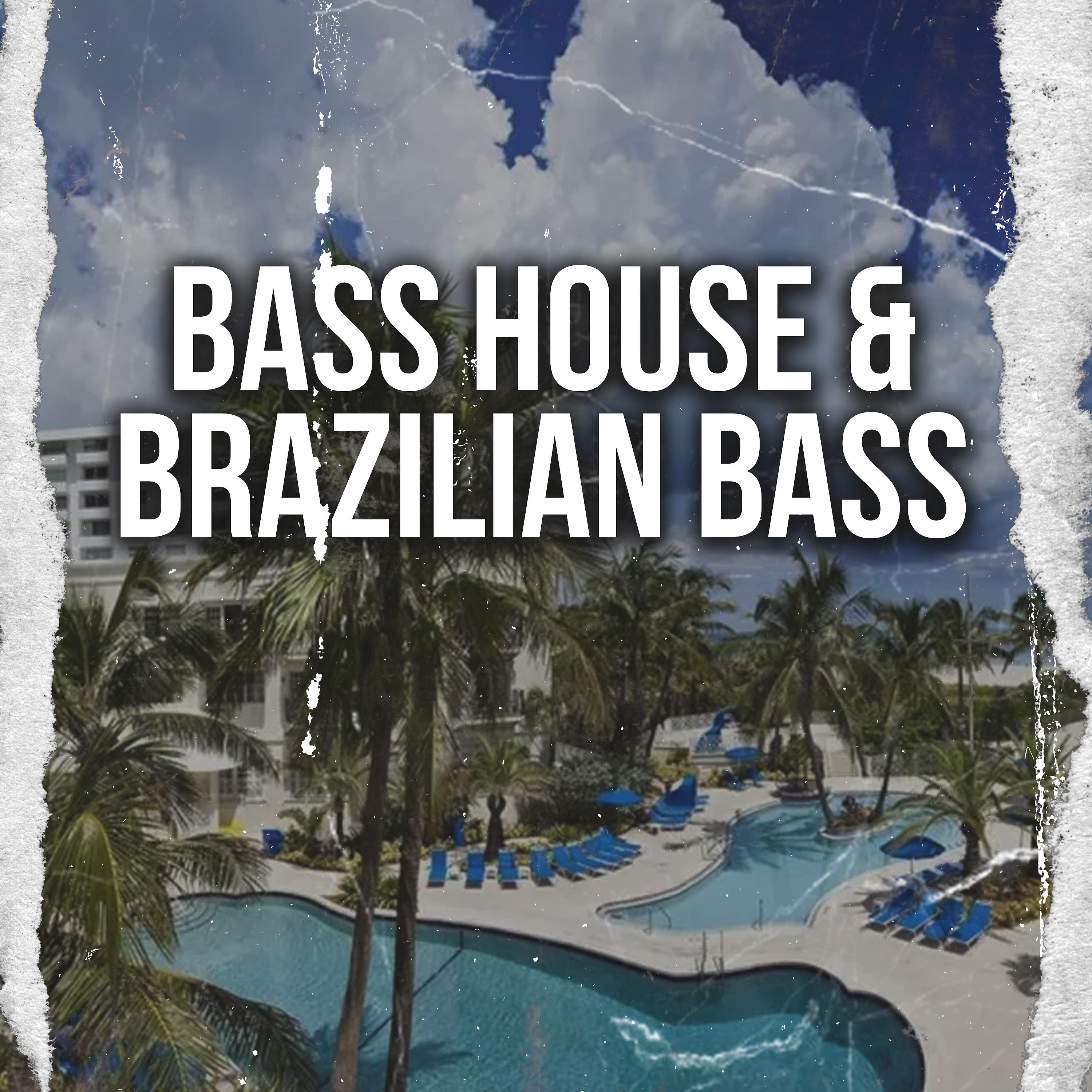 Постер альбома Bass House & Brazilian Bass