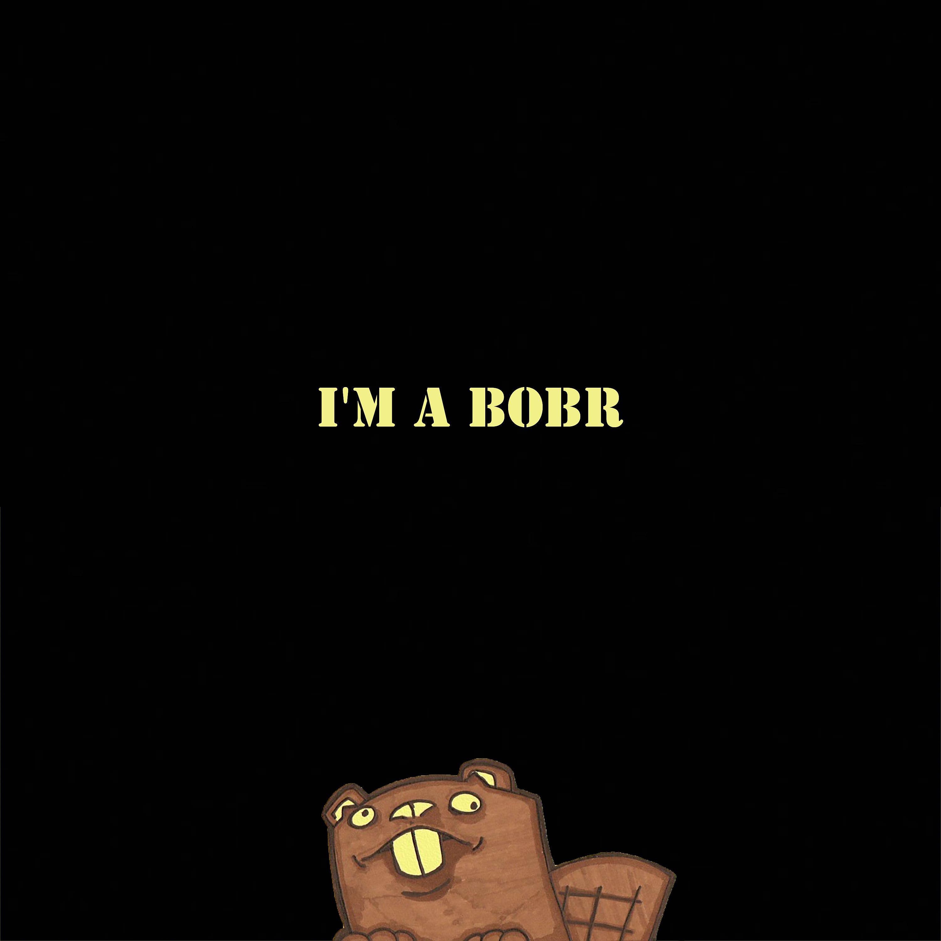 Постер альбома I'm a Bobr