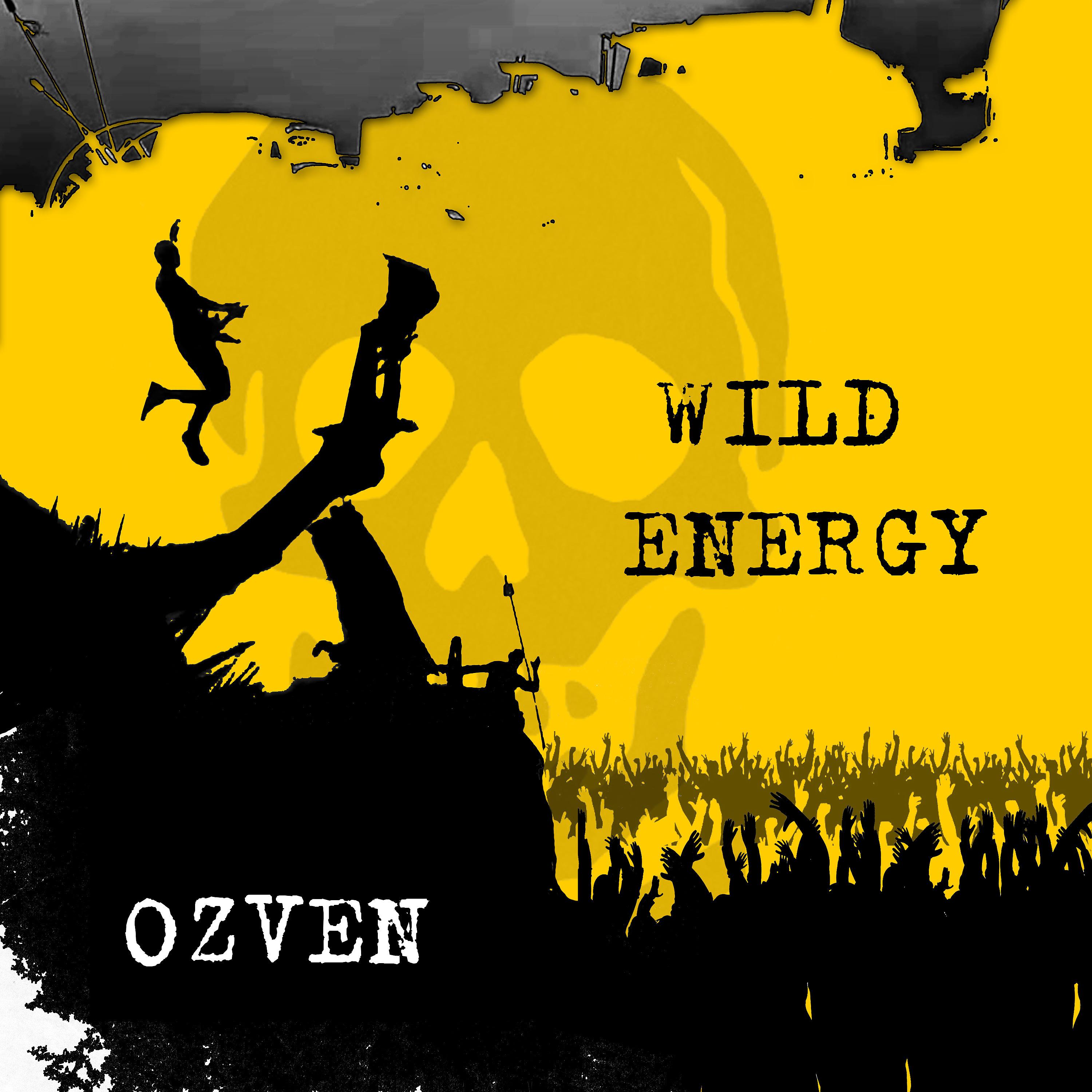 Постер альбома Wild Energy