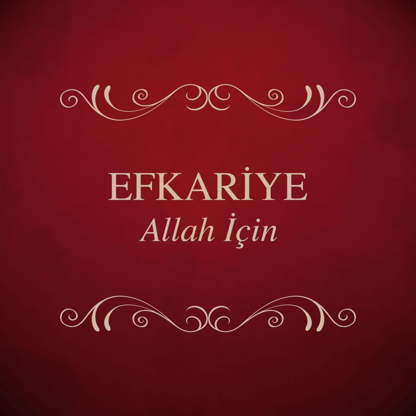 Постер альбома Allah İçin