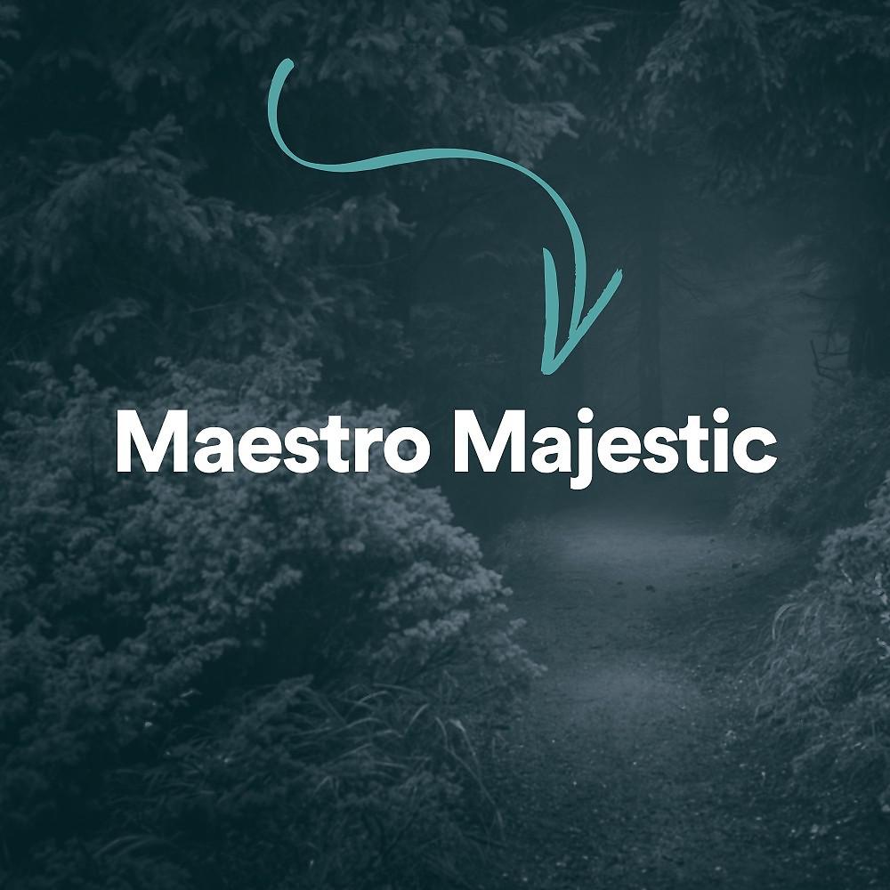 Постер альбома Maestro Majestic