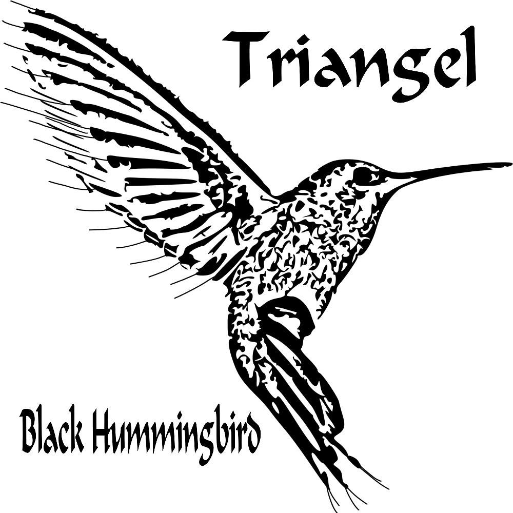 Постер альбома Black Hummingbird