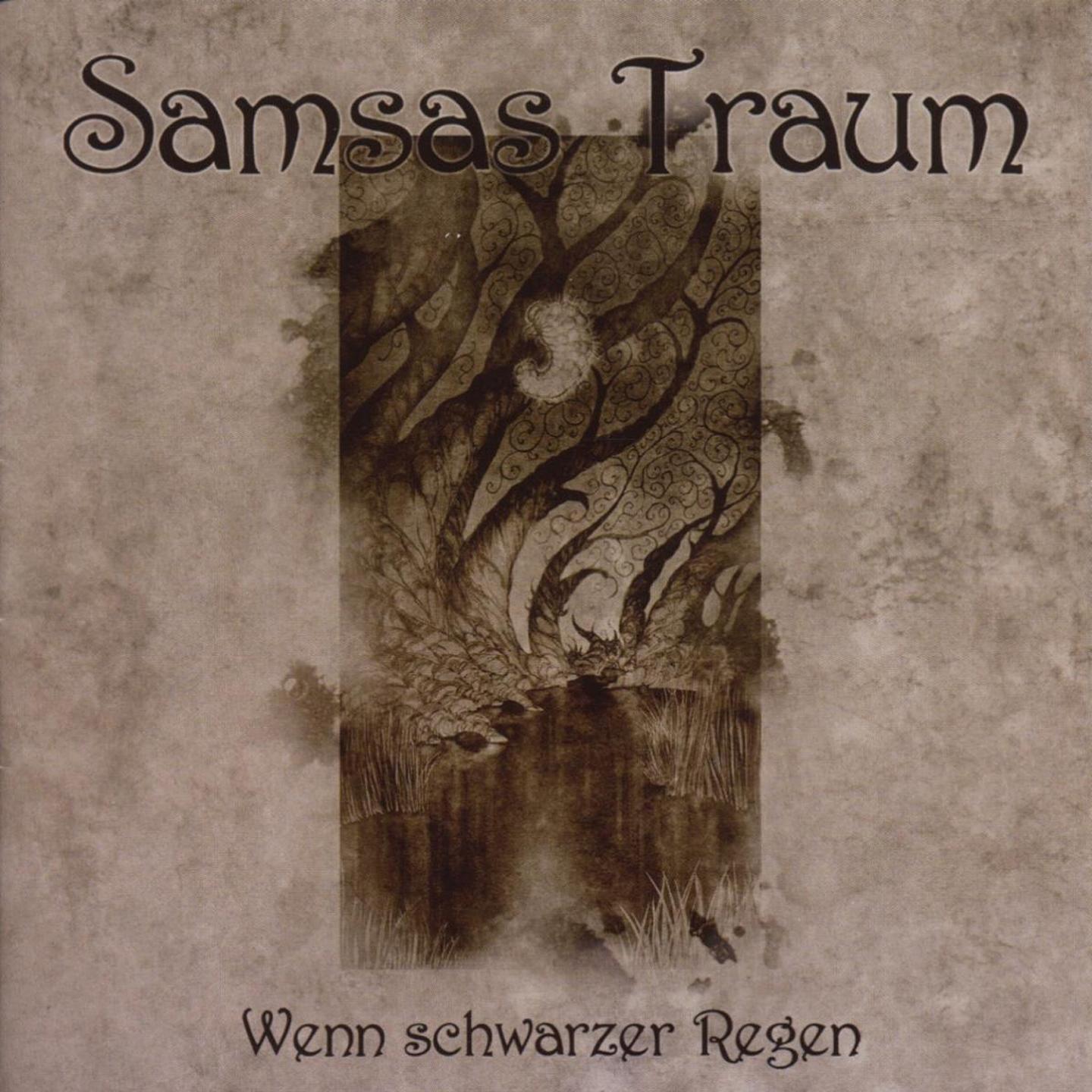Постер альбома Wenn Schwarzer Regen