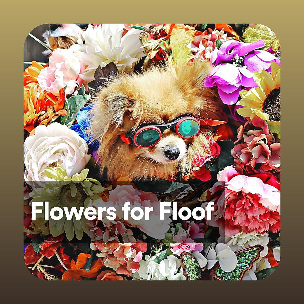 Постер альбома Flowers for Floof