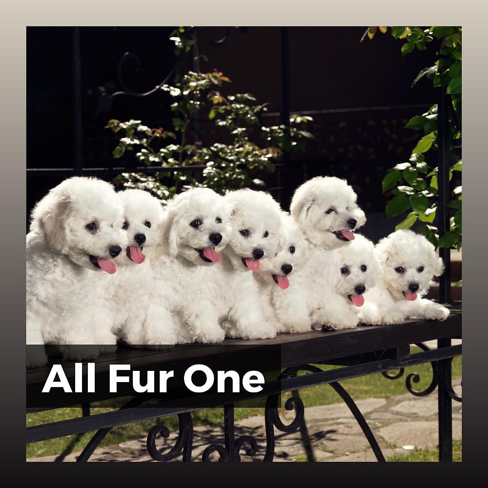 Постер альбома All Fur One