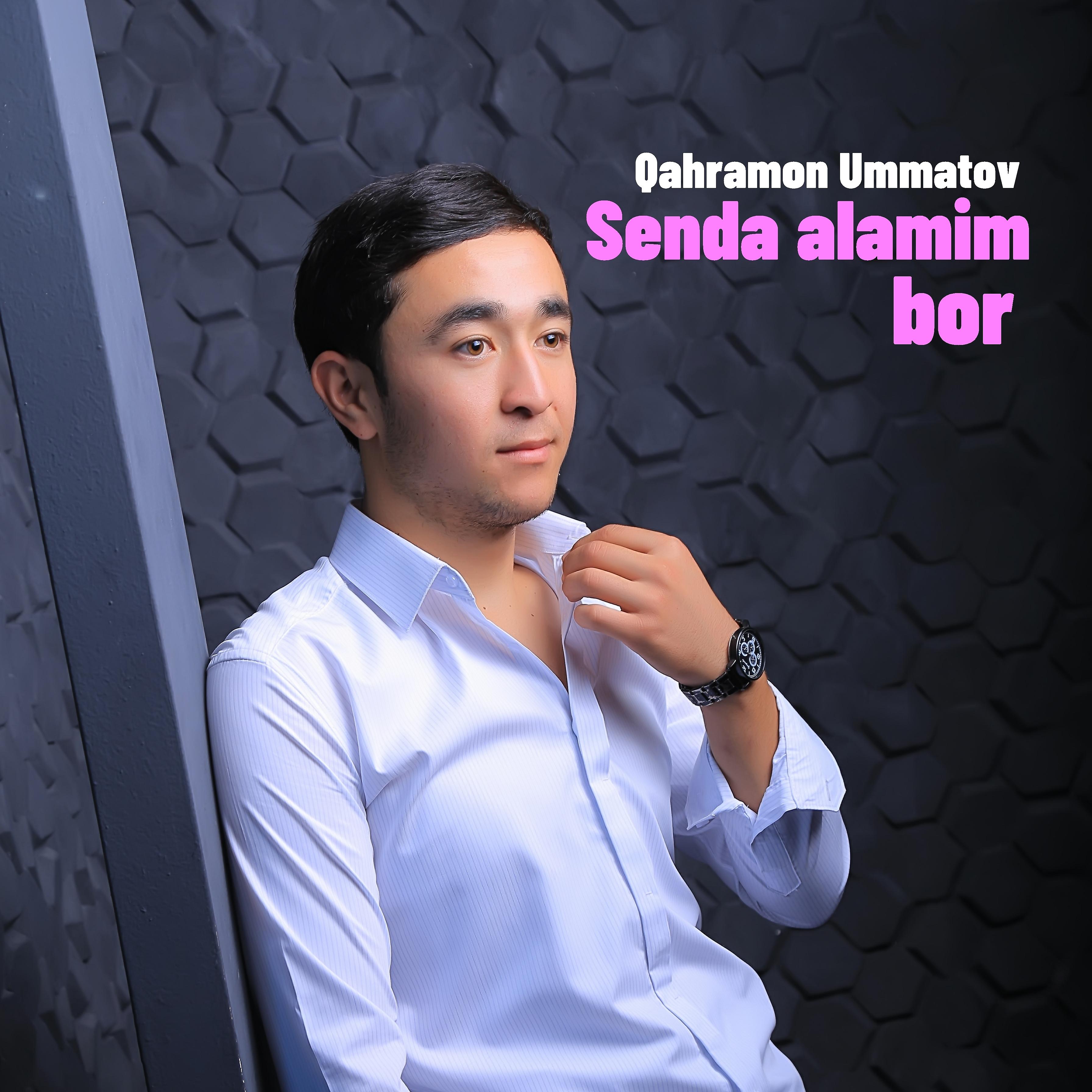 Постер альбома Senda alamim bor