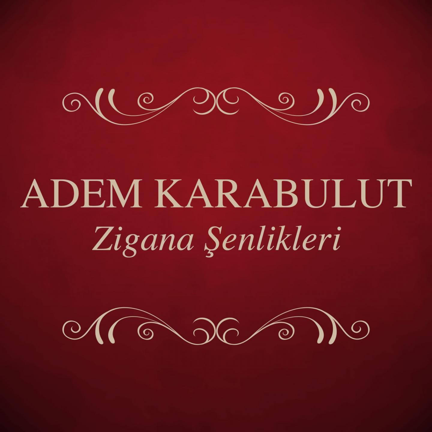 Постер альбома Zigana Şenlikleri