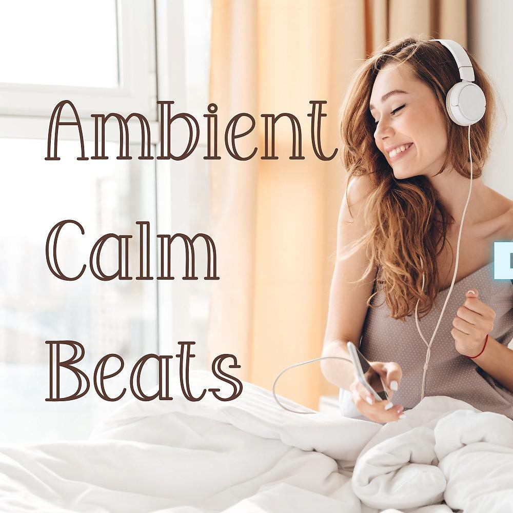 Постер альбома Ambient Calm Beats
