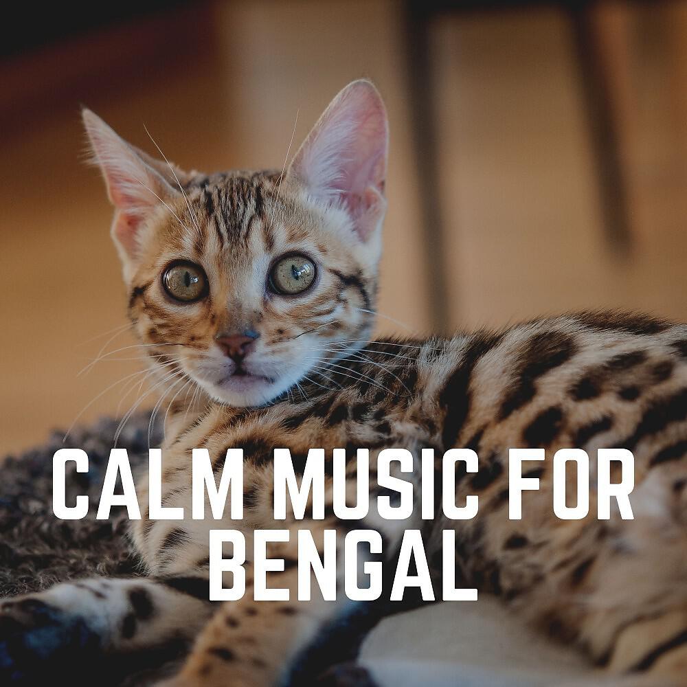 Music For Cats Peace - Your Furbaby's Lullaby