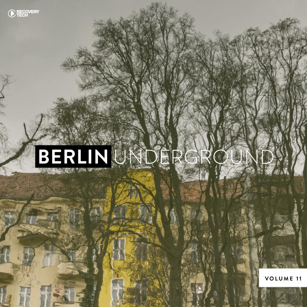Gruuve - Below the Moon (Dub.Format 'Reprise' Remix)