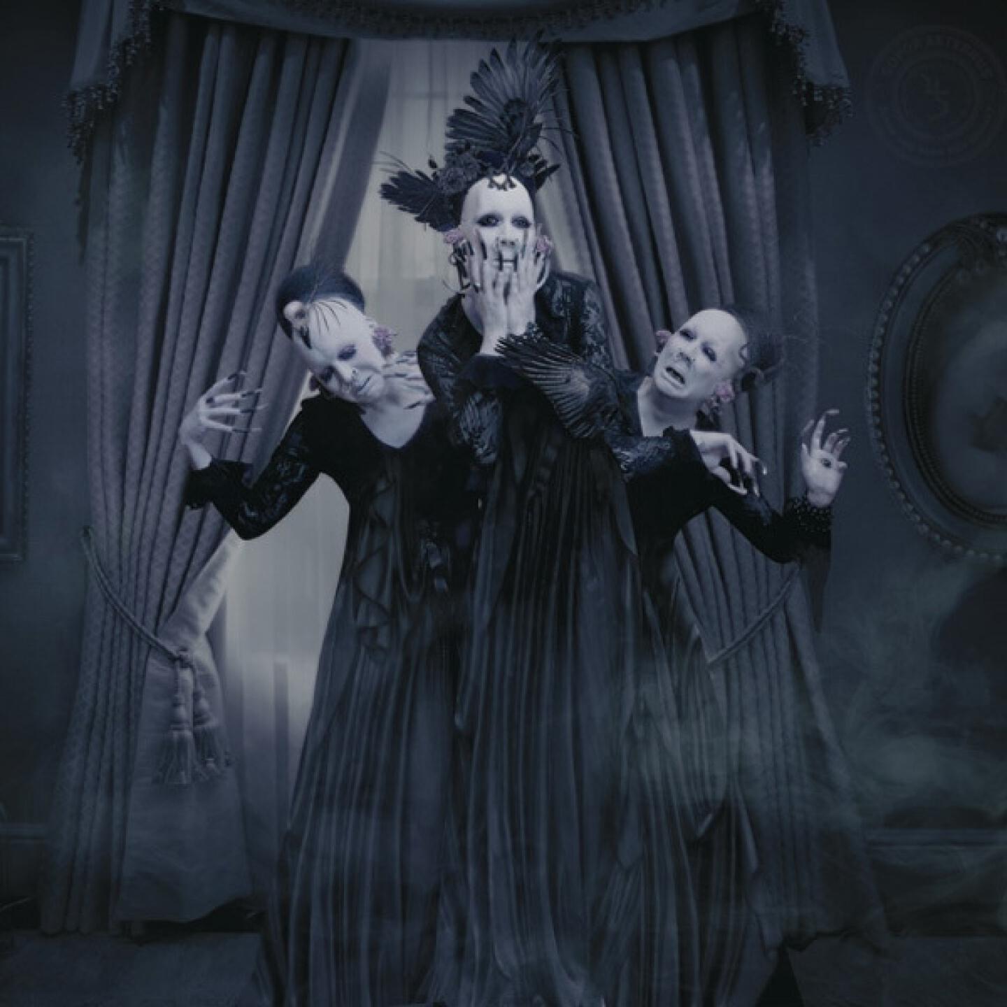 Sopor Aeternus & The Ensemble Of Shadows - Where the Ancient Laurel Grows