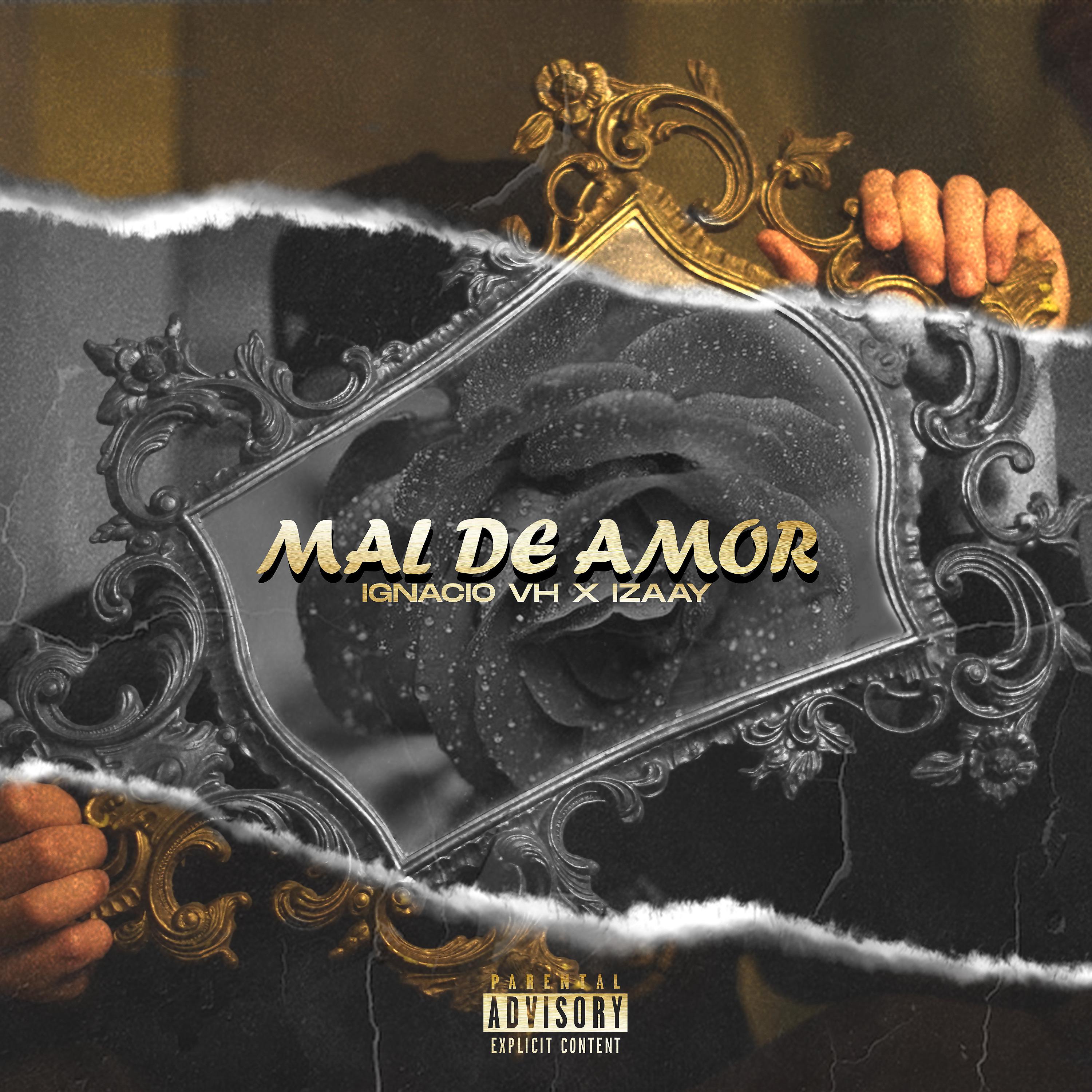 Постер альбома Mal de Amor