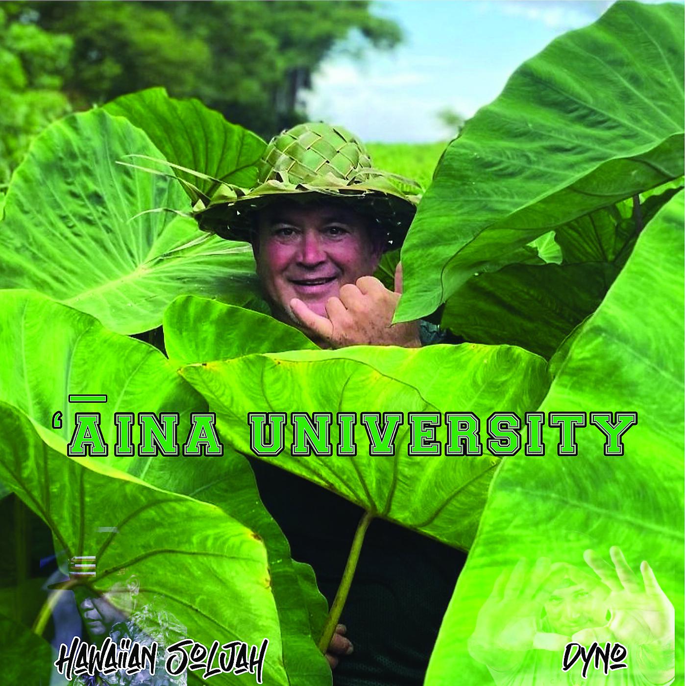 Постер альбома 'Āina University