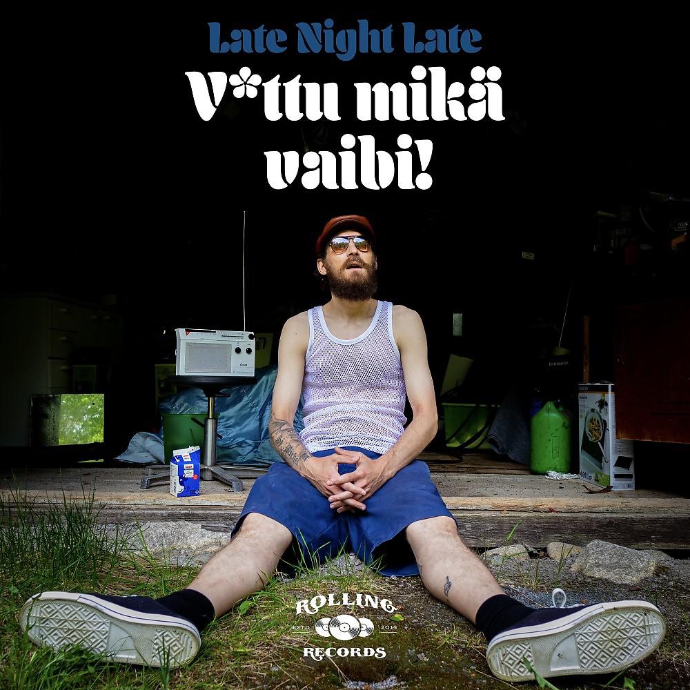 Постер альбома V*ttu mikä vaibi