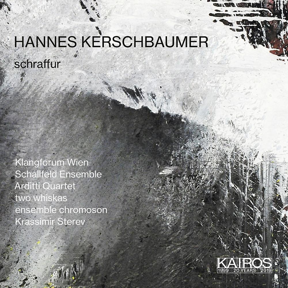 Постер альбома Hannes Kerschbaumer: Schraffur