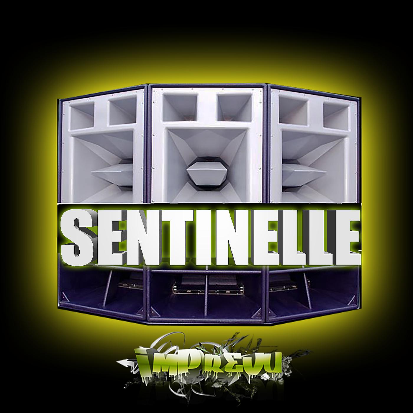 Постер альбома Sentinelle