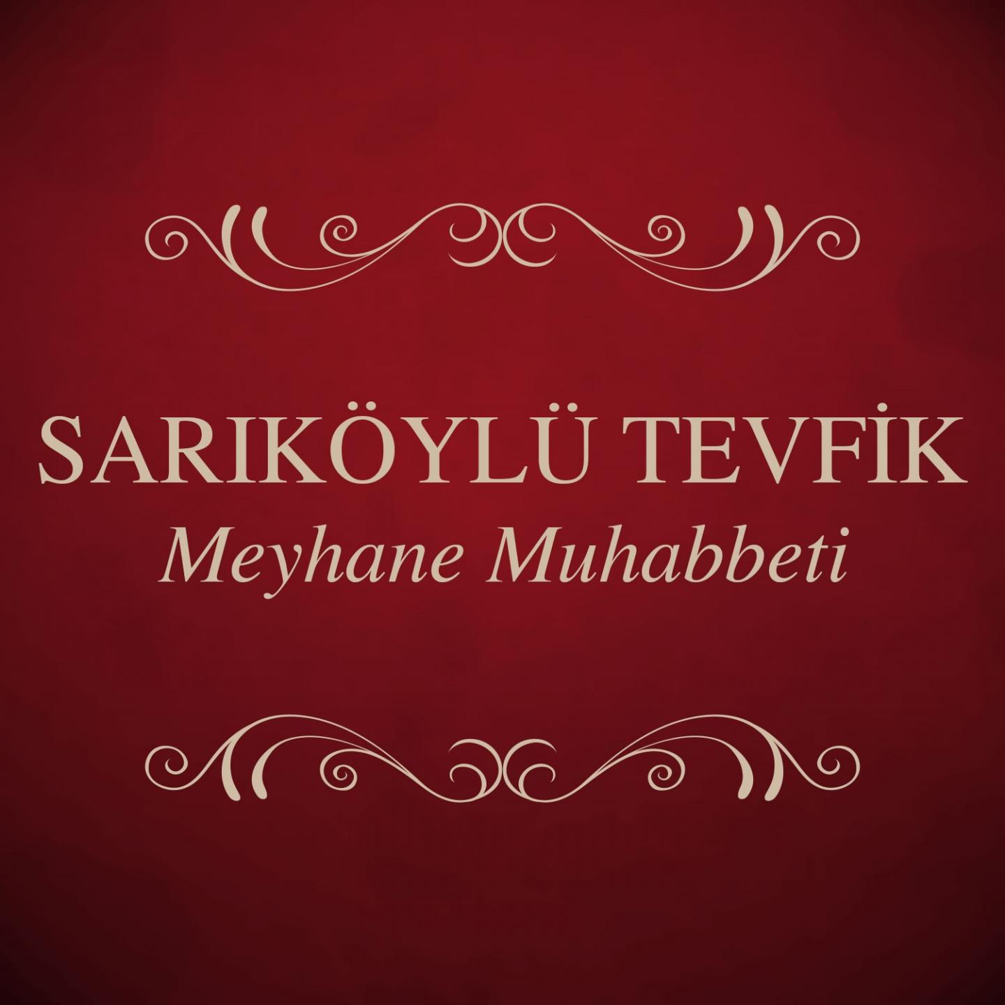 Постер альбома Meyhane Muhabbeti