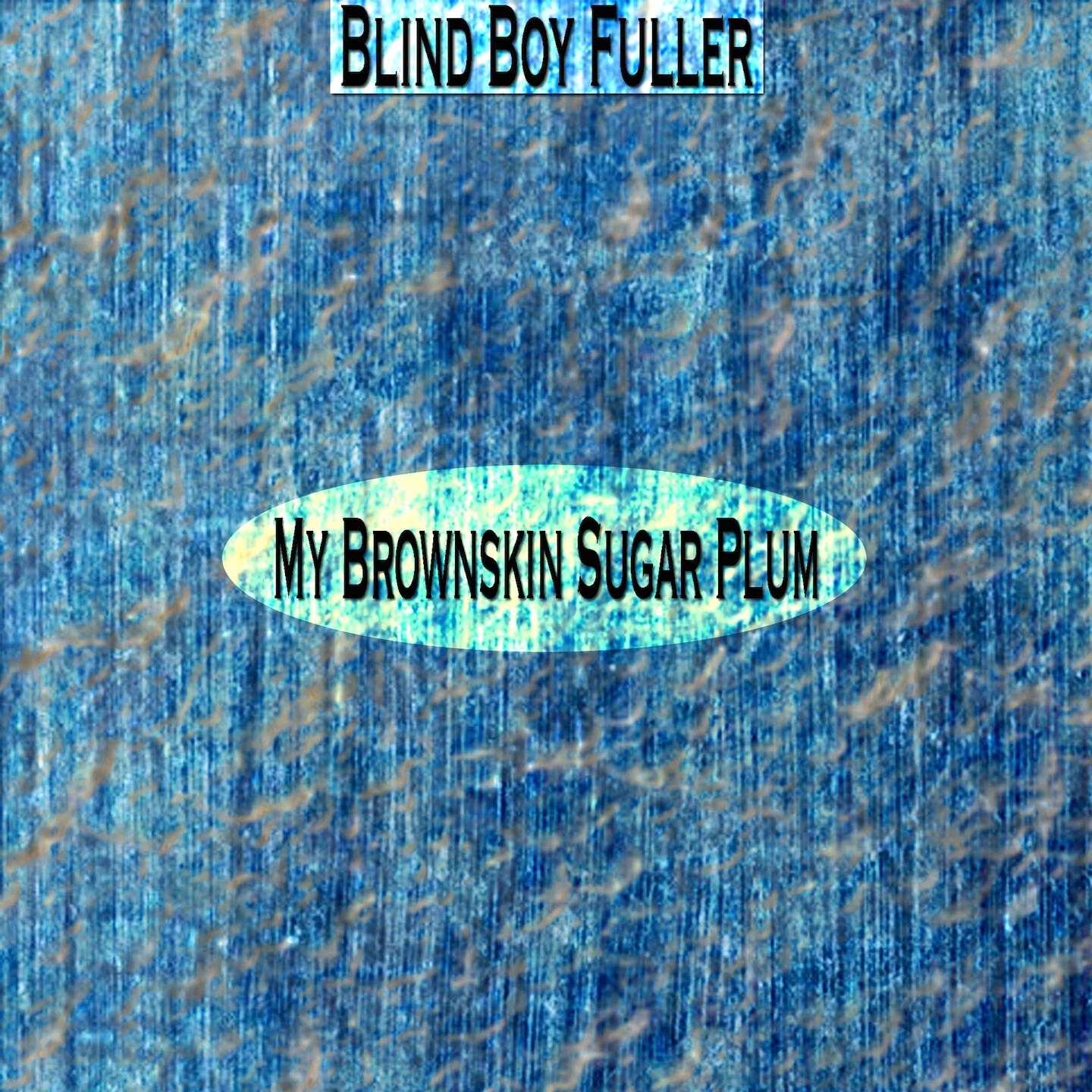 Blind Boy Fuller - Bye Bye Baby (Remastered)