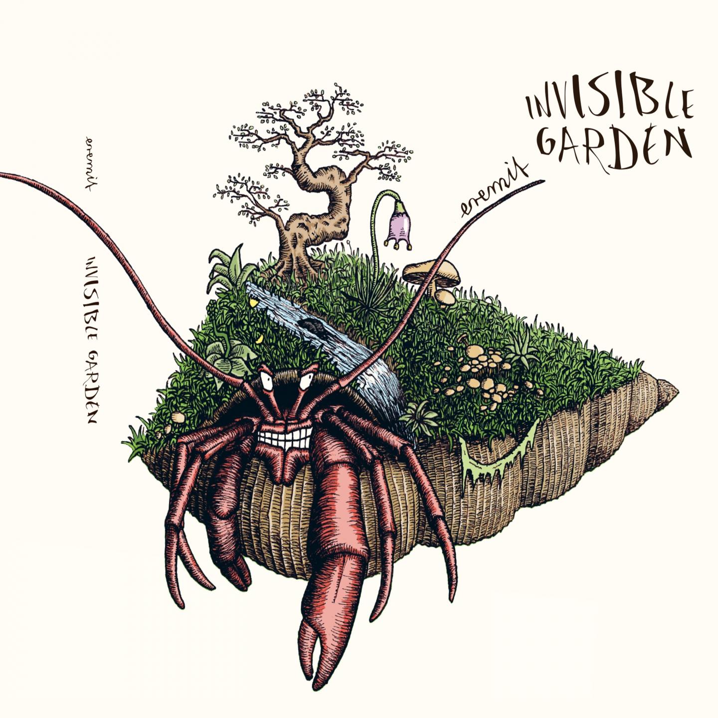 Постер альбома Invisible Garden