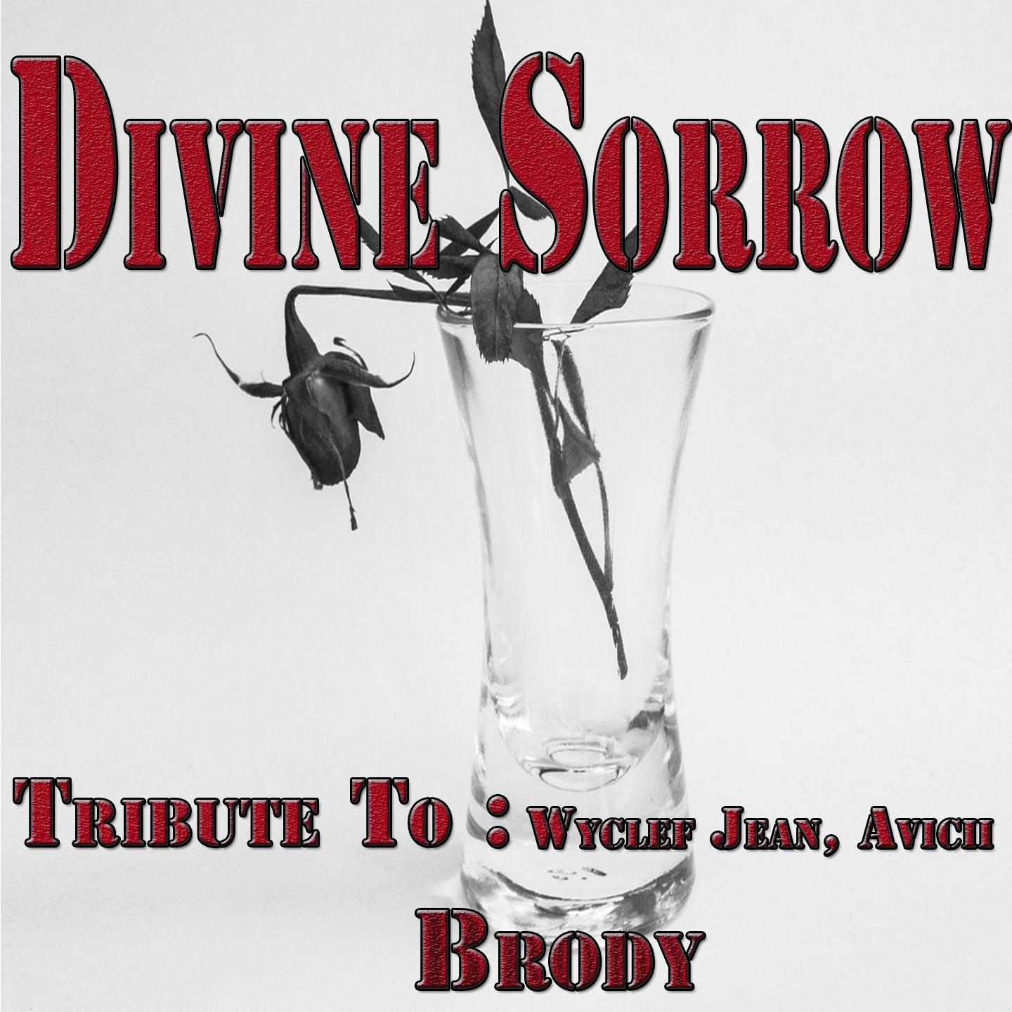 Постер альбома Divine Sorrow: Tribute to Wyclef Jean, Avicii