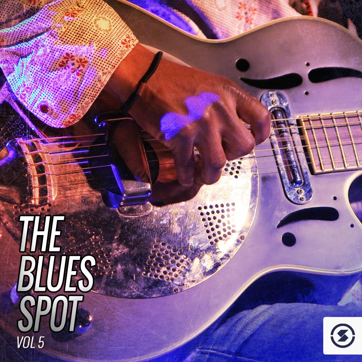 Постер альбома The Blues Spot, Vol. 5
