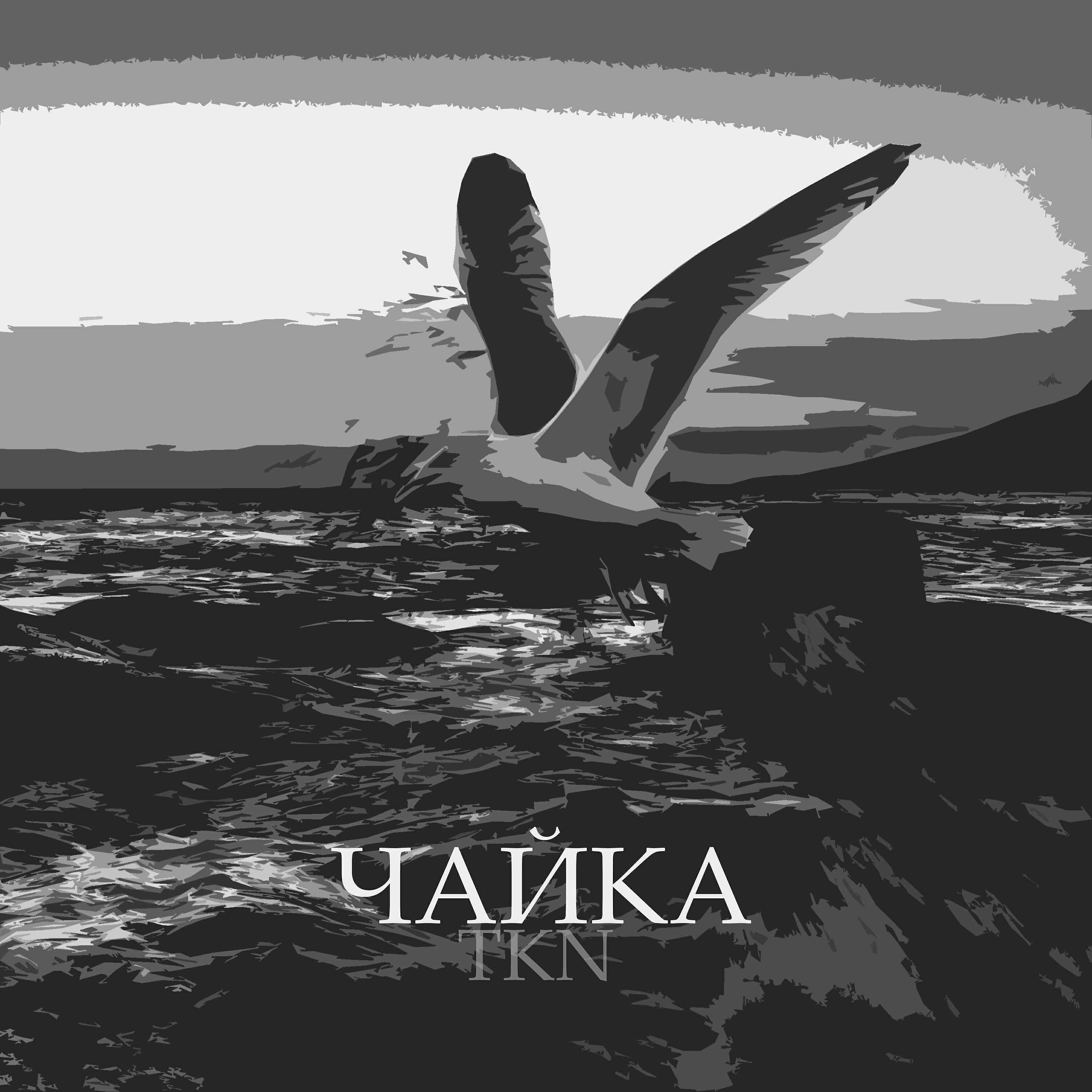 Вопль чайки. Крик чайки. Чайка кричит. Песня чайки на просторах кричат. Песня чайка.