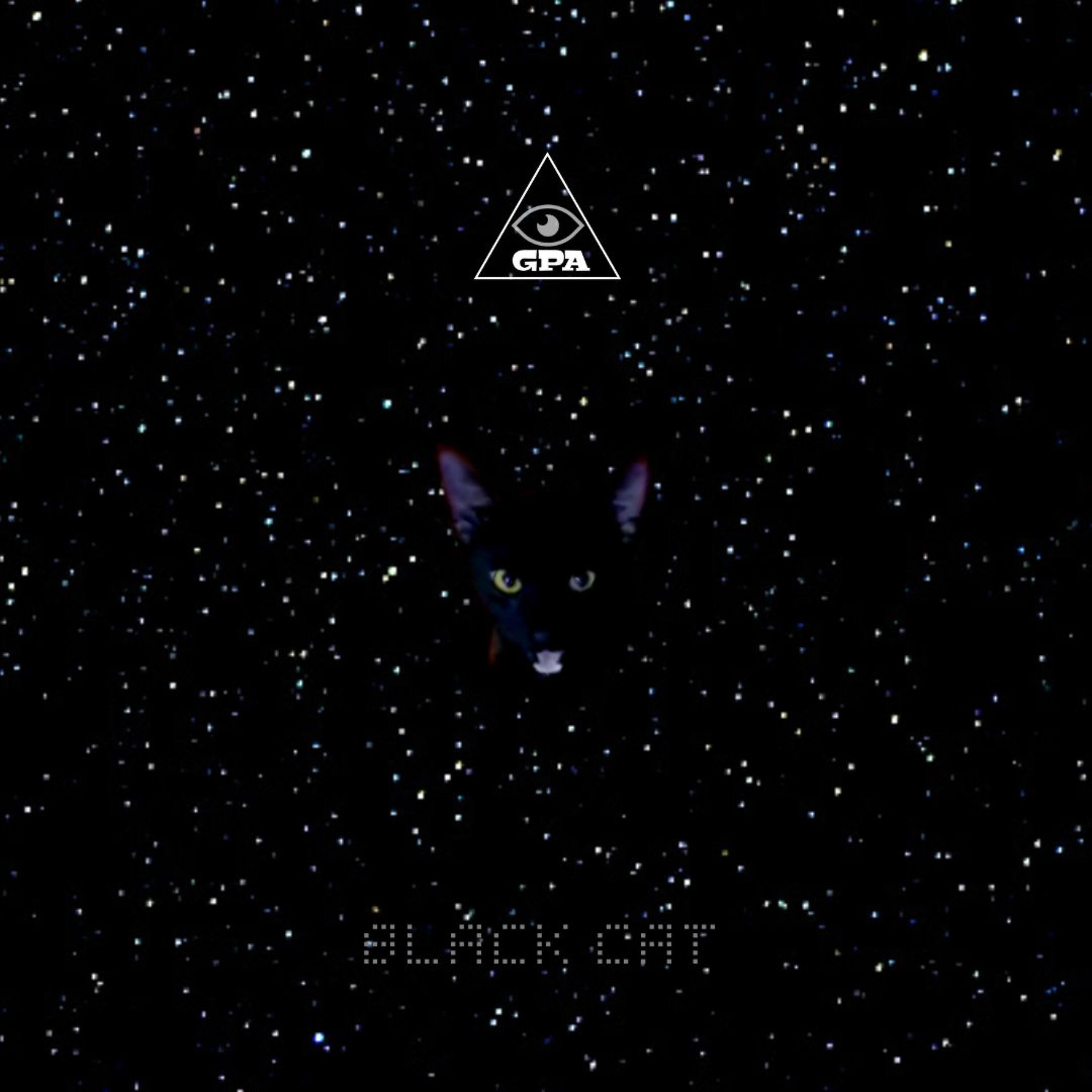 SBX 085 - Black Cat