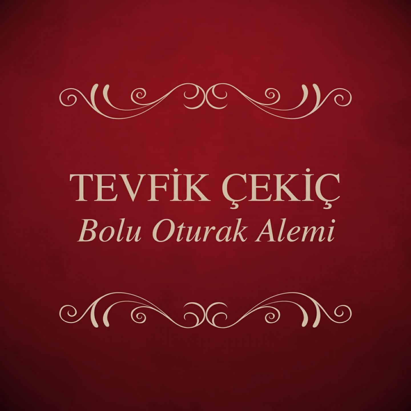 Tevfik Çekiç - Olanları Unut Canım
